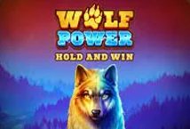 Wolf Power Hold and Win Slot Review